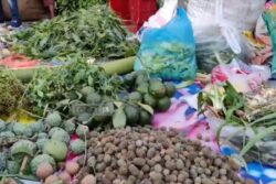 Ganesh Chaturthi 2023: 400 Shops in Andhra's Ongole Selling 21 Varieties Of Patris