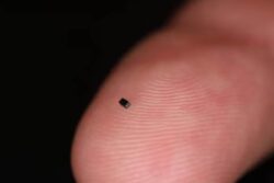 US Scientists Invent World's Smallest Camera; It's The Size Of A Grain Of Sand