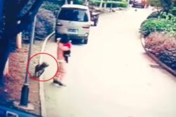 Woman Fights A Ferocious Pit Bull To Save Her Pet, Internet Reacts