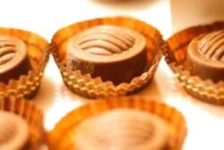 This Ooty Museum Has Over 100 Chocolates And It Demonstrates How They Are Prepared