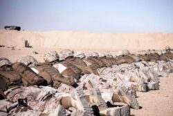 Why Afghanistan Is Considered A Graveyard Of Empires