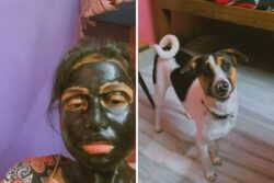 Watch: Dog's Reaction After Watching Owner In Face Mask Is Pure Comedy