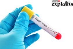 Nipah Alert in Kerala: All You Need to Know About the Virus, Symptoms, Precautions & Treatment