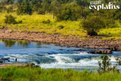 Ken-Betwa Link Project to Get Green Light: Why is it Significant & What is Govt's River Linking Plan