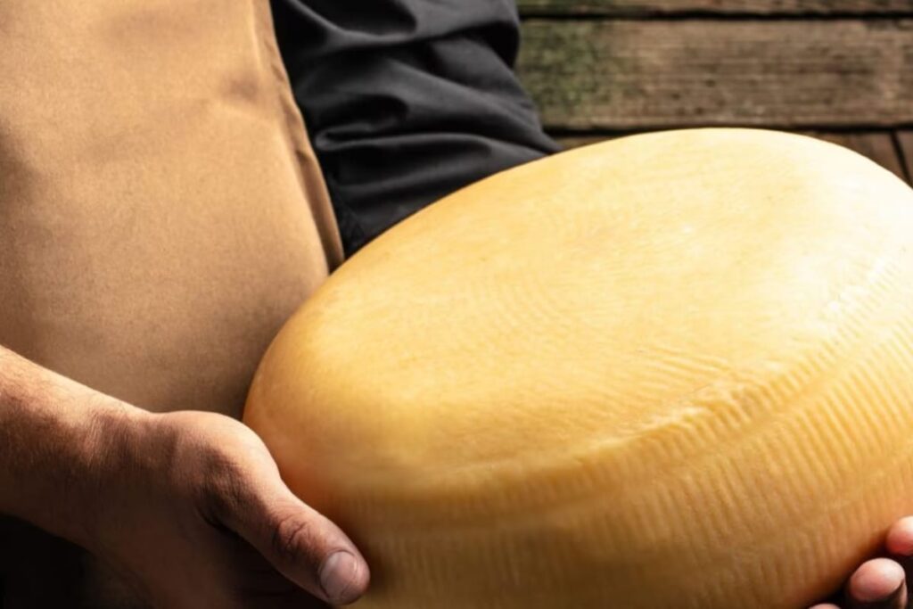 Wheel of Spanish Cheese Sells For Rs 27 Lakh At Auction, Breaks World Record