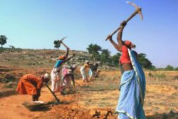 From Lower Wages To Safety: Report Reveals Unjust Life Of Women In Blue-Collar Jobs