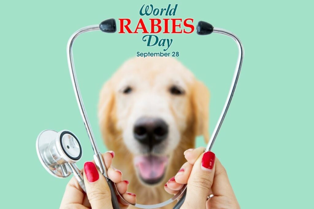 World Rabies Day 2023: Theme, History, Rabies Cause, Symptoms, Cure and Prevention