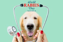 World Rabies Day 2023: Theme, History, Rabies Cause, Symptoms, Cure and Prevention