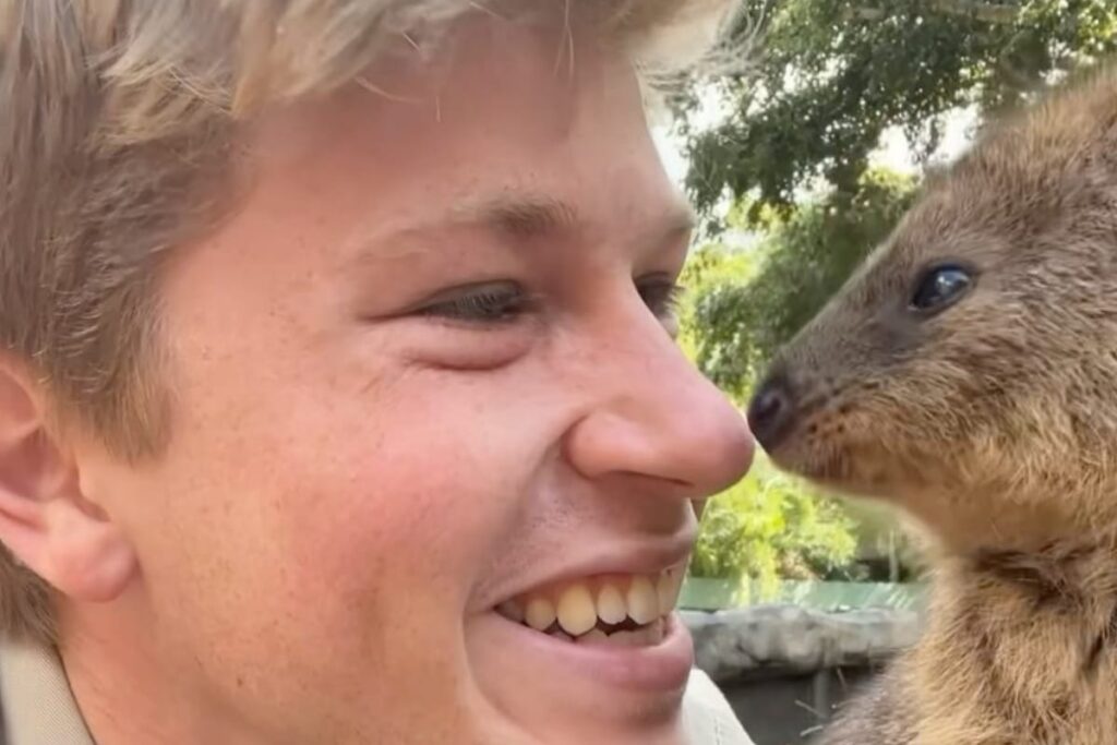 'Your Dad Lives In You': Robert Irwin's Zoo Video Reminds Internet Of Steve