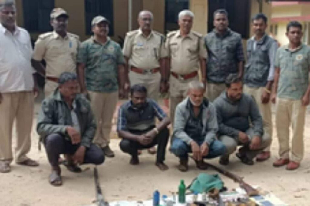 Four Arrested for Killing Bats for Meat in Karnataka