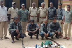 Four Arrested for Killing Bats for Meat in Karnataka