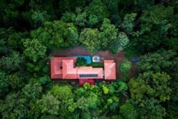 Guide to Eco-Tourism: Top 4 Eco-friendly Destinations in India