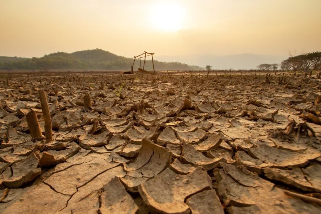 After Deficient Monsoon, India Stares At Strong ‘El Niño’ This Winter, Scientists Weigh In On Its Impact