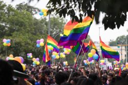 Let's Talk Law | Justice Obiter Dictum: Why the Marriage Equality Cause Lost the Battle in the Supreme Court