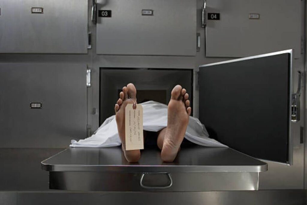 Mumbai: 60-year-old Woman Dies on Board BEST Bus in Dharavi