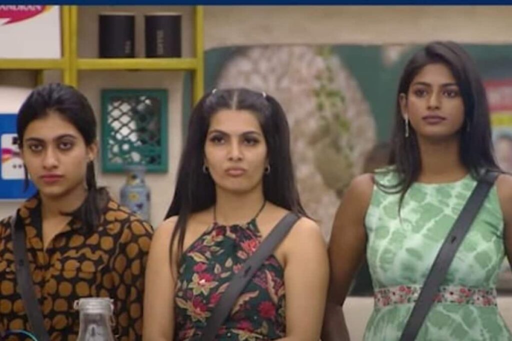 Bigg Boss Tamil 7: Know How Much The Contestants Earn Per Week