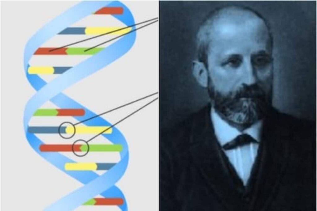 What Is DNA And How Many Types Are There? Quora Users Answer