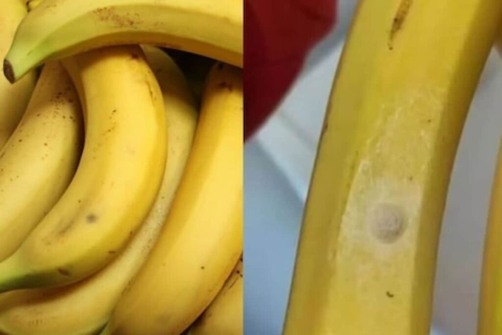 Woman Discovers Bananas With White Spots; Internet Warns Her Of Possible Danger