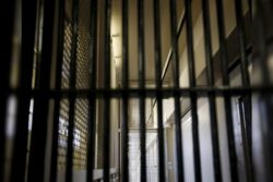 Puerto Rican Man Who Bred Dogs for Illegal Fighting for Decades Sentenced to 7 Years in Prison