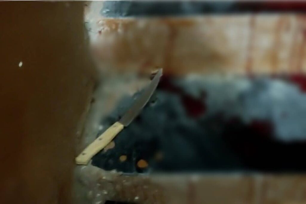 Woman Stabbed by Man in Delhi's Lado Sarai, Cabbie Catches Accused