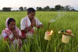 Kati Bihu 2023: Wishes, Messages, and How the Harvest Festival is Celebrated in Assam
