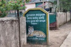 Odisha: 8-Year-Old Boy Killed In Leopard Attack While Playing In Front Of House