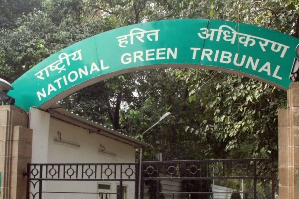 Illegal Bauxite Mining in Jharkhand: NGT Forms Panel, Seeks Report