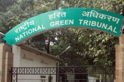 Illegal Bauxite Mining in Jharkhand: NGT Forms Panel, Seeks Report