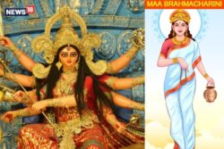 Navratri 2023 Day 2: Maa Brahmacharini Puja Vidhi, Colour of the Day, Shubh Muhurat, Mantras and Bhog