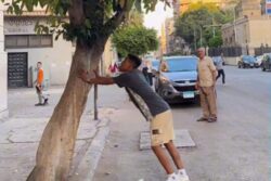 Man Collects Money Falling From Tree; What Happens Next Is Hilarious