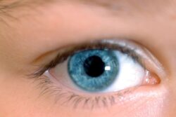 World Sight Day 2023: How Ocular Supplements Can Enhance and Protect Our Eyesight