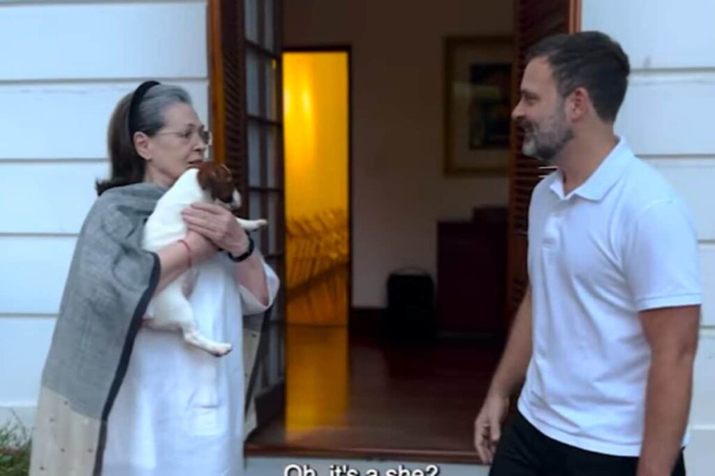 AIMIM Leader Moves Court Against Rahul Gandhi, Says Pet Dog's Name 'Noorie' Hurts His Religious Sentiment