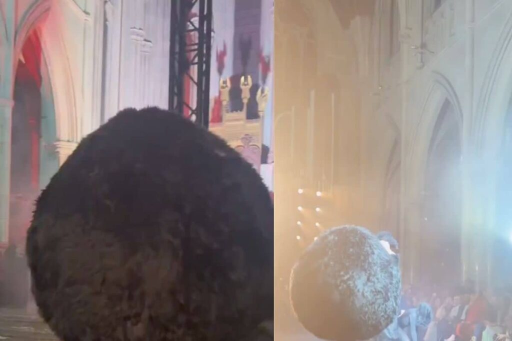 Paris Fashion Week 2023: Model Dressed As Furball Gets Lost on Runway, Hilarious Video Goes Viral