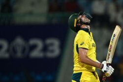 'Don’t Think Much Needs to be Said, Everyone’s Hurting': Pat Cummins After Crushing Defeat Against South Africa