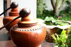 Mumbai Girl, Forced to Marry a Pot For Her Husband's Health, Seeks Advice on Social Media