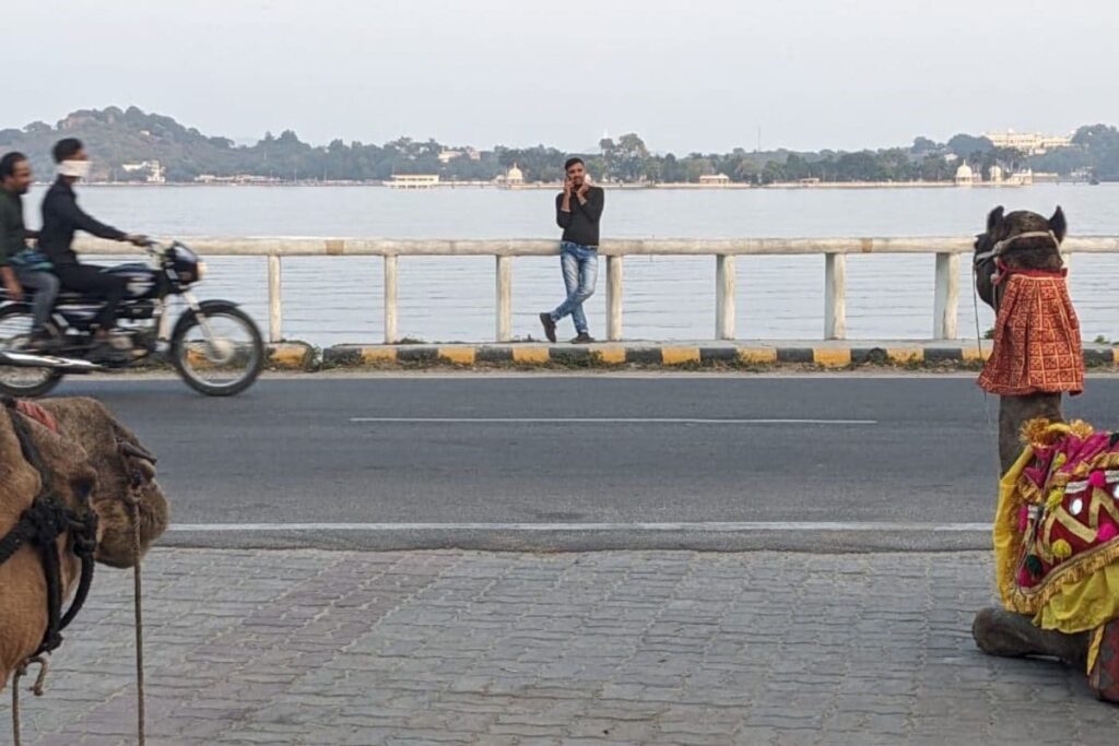 Rajasthan | Paper Leak, Kanhaiya Lal’s Murder, Freebies: Why Udaipur Youth is Desperate for ‘Change’