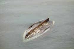 70 Missing, 18 Dead as Boat Loaded with People Sinks in North Nigeria River