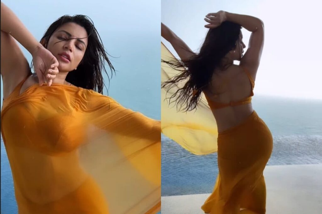 Sexy! Shama Sikander Dances In The Rain In A Chiffon Saree, Hot Video Goes Viral; Watch