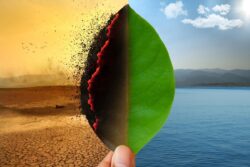 Climate Change: At Current Emission Levels, Remaining Carbon Budget for 1.5°C May Run Out By 2029, Says New Study