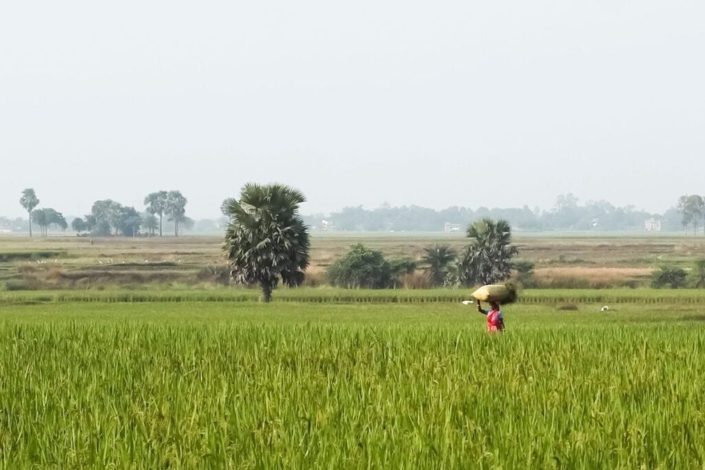 Mahila Kisan Diwas: Discover the Story of Vasuki, an Emblem of Empowered Womanhood in Farming