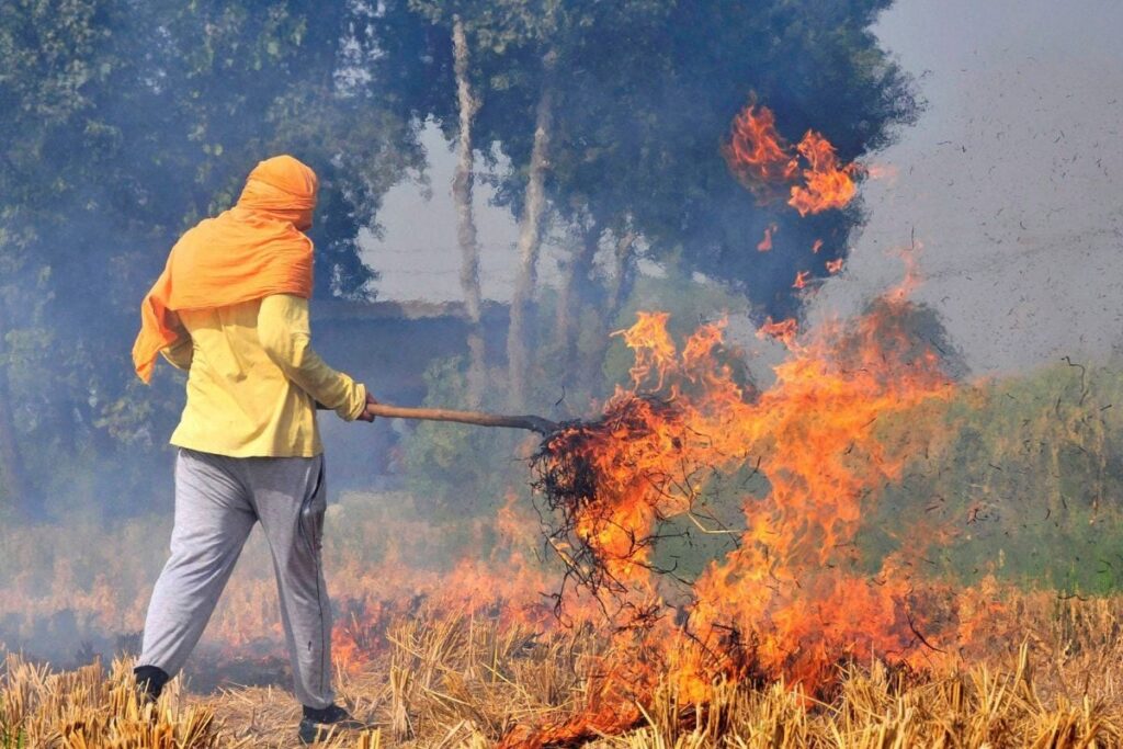 Significant Drop in Number of Farm Fires in Punjab, Haryana This Year: CAQM