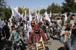 'Want Both Sides to Sit & Talk': Taliban Says Not Sending Fighters to Palestine | Exclusive