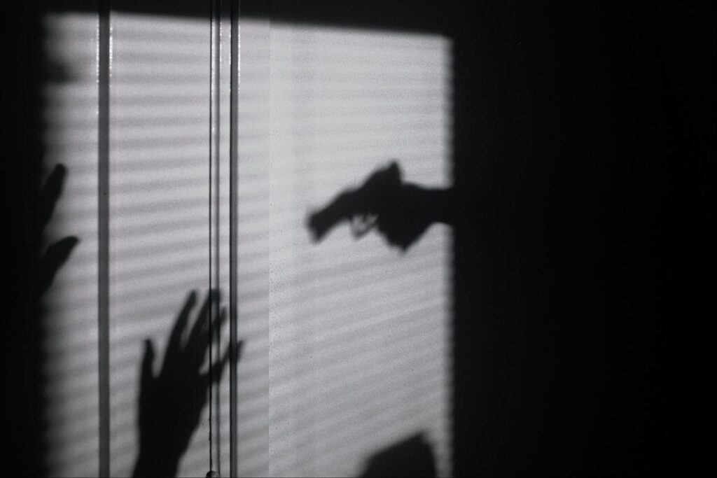 Punjab Double Murder: Woman, Daughter Shot Dead At Home; US-based Son-in-law Under Police Scanner