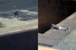 33-year-old Man Arrested For Jumping into 9/11 Memorial Pool, Shocking Video Goes Viral