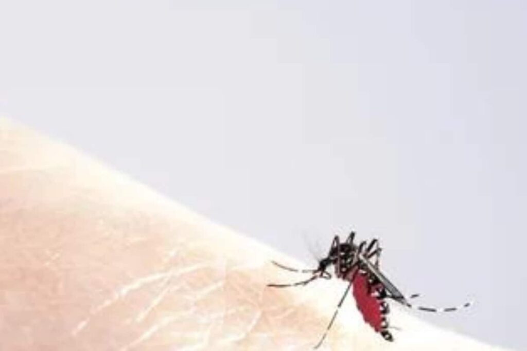 UP Feels Dengue Sting with over 9,000 Cases Reported, Deadly DEN-2 Strain Predominant