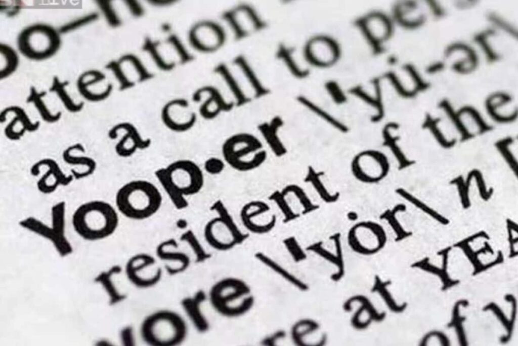 These 690 Gen Z Terms Made It To Merriam-Webster Dictionary; How Many Can You Guess?