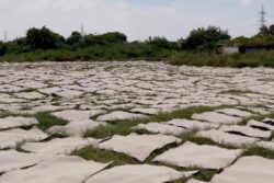 Ever Wondered How Cardboards Are Made? This Fascinating Video Is Your Answer