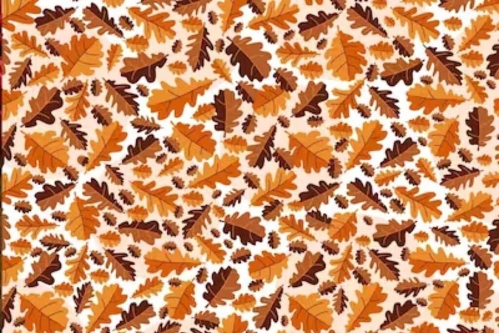 Optical Illusion: Spot The Nut Among The Leaves; You Have 12 Seconds
