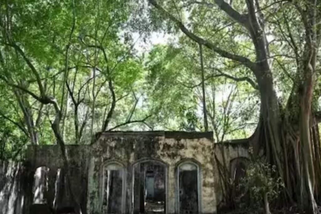 All About The Deadliest Volcanic Eruption Ever Which Killed 23,000 In Colombia