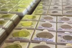 First Ever Coin Exhibition In Tamil Nadu's Namakkal Gives Glimpse Into Currencies From Chola Era